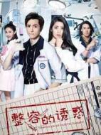 整容的誘惑劇情介紹(1-16全集)