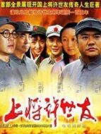 上將許世友全集DVD