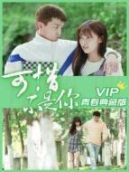 可惜不是你 越南語版劇情介紹(1-24全集)