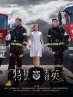 特勤精英DVD版劇情介紹(1-40全集)