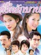 愛情花開的時候劇情介紹(1-17全集)