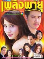 戀焰風(fēng)暴劇情介紹(1-15全集)