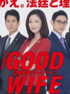 傲骨賢妻劇情介紹(1-10全集)