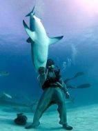 與水怪同游劇情介紹(1-全集)