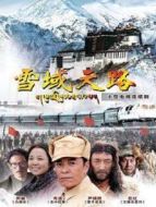 雪域天路DVD版劇情介紹(1-43全集)