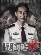 法網(wǎng)追兇第二季