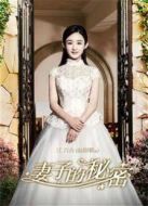 妻子的秘密劇情介紹(1-55全集)