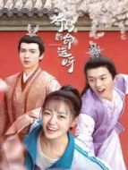 奇妙的命運(yùn)呀劇情介紹(1-16全集)