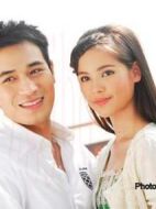 無刺的玫瑰劇情介紹(1-16全集)