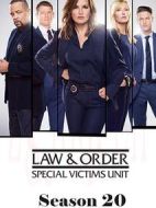 法律與秩序：特殊受害者第二十季劇情介紹(1-22全集)