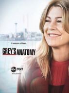 實習(xí)醫(yī)生格蕾第十五季海報