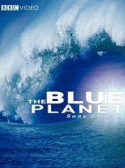 藍(lán)色星球劇情介紹(1-10全集)