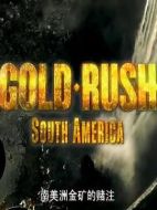 南美洲金礦的賭注劇情介紹(1-全集)