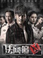 法網(wǎng)追兇第一季