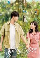 夏日不宜入愛河劇情介紹(1-18全集)