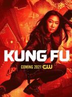 功夫劇情介紹（1-13全集）大結(jié)局