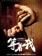 等著我劇情介紹（1-4全集）大結(jié)局