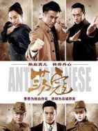 蕩寇劇情介紹（1-31全集）大結(jié)局