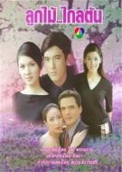 劫緣劇情介紹(1-20全集)