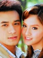 憂郁的菩提樹劇情介紹(1-14全集)