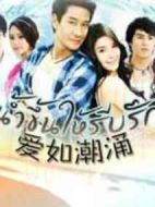 愛如潮涌劇情介紹(1-21全集)