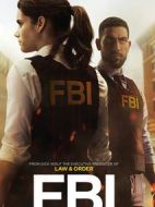 聯(lián)邦調查局劇情介紹(1-13全集)