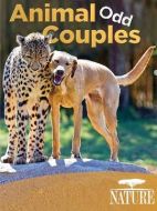 奇特的動物伙伴劇情介紹(1-2全集)