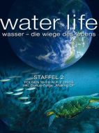 生命之水劇情介紹(1-26全集)