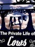 家禽家畜的私生活