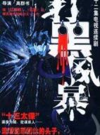 打黑風(fēng)暴劇情介紹(1-22全集)