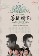 菩提樹下劇情介紹(1-53全集)