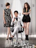 總裁誤寵替身甜妻劇情介紹(1-33全集)