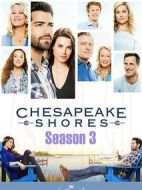 灣畔傾情第三季