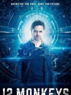 十二猴子第四季劇情介紹(1-11全集)