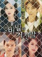 秘密與謊言海報(bào)