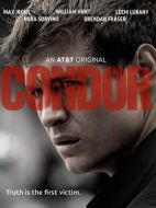 禿鷹第一季海報(bào)