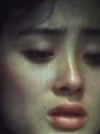 獅子山下：煙火人間