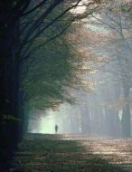 那些人的故事劇情介紹(1-14全集)