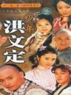 少年英雄之洪文定劇情介紹(1-20全集)