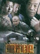 大漠高墻劇情介紹(1-20全集)