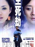 生死劫劇情介紹(1-20全集)