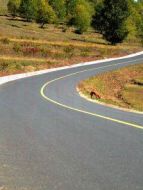 一條道走到亮劇情介紹(1-20全集)