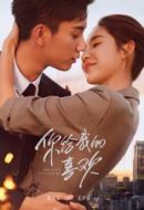 你給我的喜歡劇情介紹(1-28全集)