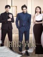 贅婿無(wú)雙劇情介紹(1-24全集)