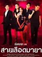 都市游戲之桃色天性劇情介紹(1-6全集)