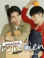 愛(ài)情原料劇情介紹(1-10全集)