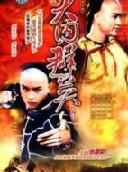 大內(nèi)群英續(xù)集