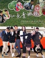 紅色青橄欖劇情介紹(1-30全集)