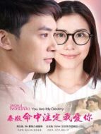 命中注定我愛你[泰國版][國語]