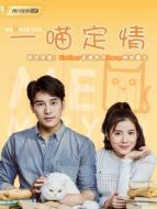 一喵定情[普通話版]